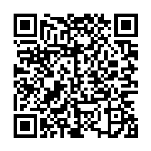 浓郁而纯净的能量化为一股股能量涟漪向着他的丹田聚集着二维码生成