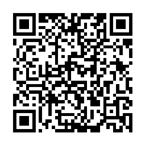 浓郁至极的鲜血朝着它宛若小山一样的身躯包裹而去二维码生成