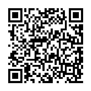 浓重的血腥味随着他拔烟的动作在口腔里弥漫开二维码生成