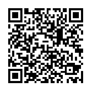 浩大的湖泊像是一面镜子反射着来自夜空中的残月光芒二维码生成