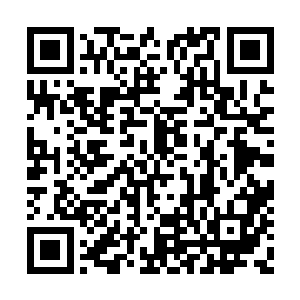 浩瀚的能量威压更是尽最大能力的干扰这片空间二维码生成