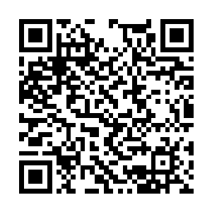 浮光洞如今隶属镇海山山主杜长行的麾下十洞之一二维码生成