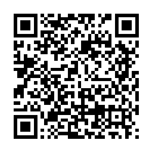 浮游天使两侧的两个浮游炮始终漂浮在妮可的身侧二维码生成
