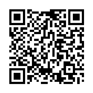 浮现出了下午才匆匆扫了一遍的入侵者资料二维码生成