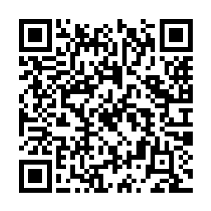 浴火凤凰现在就已经有些控制不住它体内的异火了二维码生成