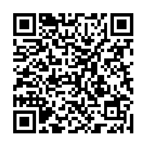 海上的空气和风景和其他任何一个地方的风景都不一样二维码生成