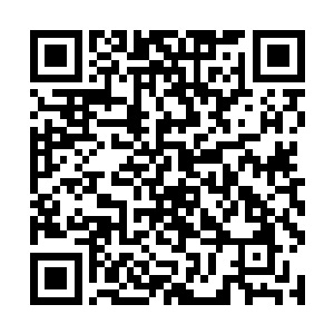 海域之中的蚊血煞不仅没有露出任何愤怒和惊诧之色二维码生成