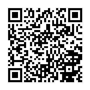 海妖首领立即笑眯眯的喊来了一溜串肌肉健壮的海蛇男二维码生成