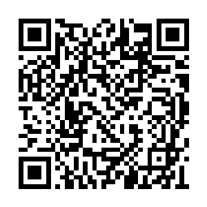 海市机场方面没有任何人敢拒绝这架飞机的降落二维码生成