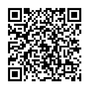 海带魔兽间隔一段时间就需要吸纳珠子散发出来的气息二维码生成