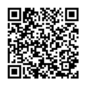 海底的许多奇观异景往往需要上万年的时间才能长成二维码生成