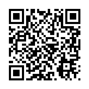 海底隧道的出口是庞博之海的西方二维码生成