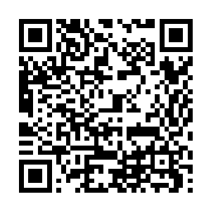 海报内容竟然是盛凌云给宇文碧云和杜蕾思的协议书二维码生成