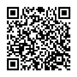 海族会袭击一切在妖魔海上方肆意路过的妖族竟是因为那种原因二维码生成