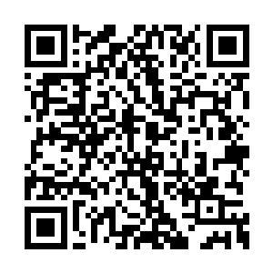 海族和海蟹妖族的战卒方阵在各族战车的正下方二维码生成