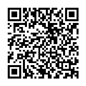 海族这四大种族都会划分出一部分领土的事也是传的沸沸扬扬二维码生成