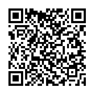 海柔和所有人都看着他当龙傲天解到最后一个扣子时二维码生成