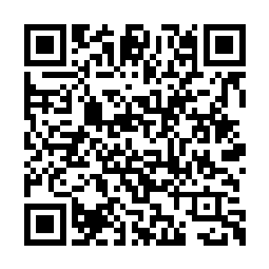 海棠果制的各种肉蒲以及海棠泡的清酒送了过来二维码生成