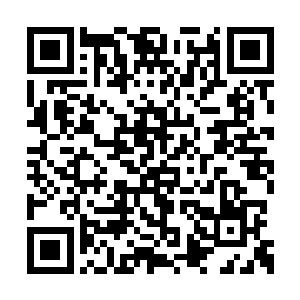 海水溅起的水花甚至已经洒到了六耳猕猴的身上二维码生成