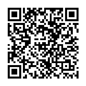 海渊客最爱的女人和全家上下全部死在了寇凌虚的手上二维码生成