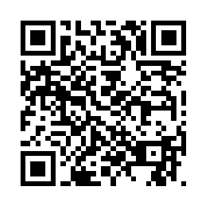 海猿一族的众人也都是脸色有些难看起来二维码生成