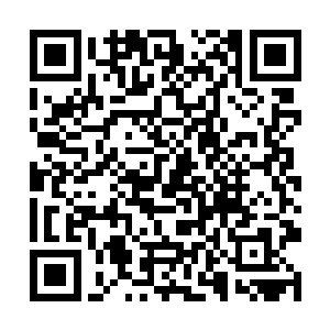 海皇那美绝人寰的脸庞上忽然浮现出一丝玩味的笑容二维码生成