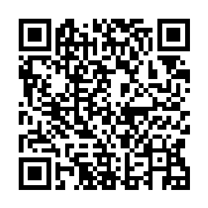 海盗王皮特鲁斯见天空中的战斗一时半会儿似乎结束不了二维码生成