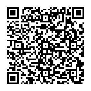 海胆却是看着她那粗狂大脸上露出的狡黠身上突然恍惚觉得这只金鲨似乎有些不和谐感二维码生成