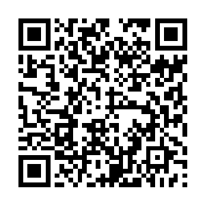 海边那个别墅里面那个女修士林晨就比他要厉害许多二维码生成