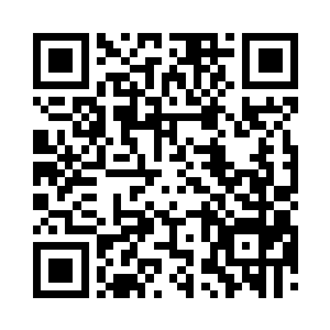 海风太容易把鲜活的生灵变成死气沉沉的咸鱼二维码生成