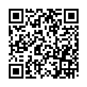 海风带着淡淡咸湿的气息吹进了诺斯蒂岛二维码生成