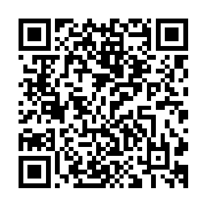 海飞蓝以为他准备开口向蛋圆圆申请两人进行精神绑定的事情二维码生成
