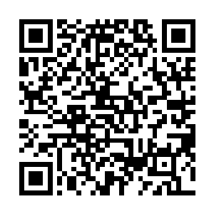 海马海葵黑魔虾的大规模人工养殖我们耗费了无数的心血二维码生成