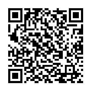 涂山桑也知道这件在修道界之中几乎人人皆知的事情二维码生成