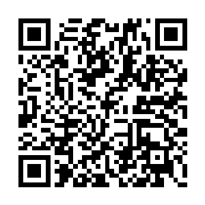 涂社长很大方地将小四冒险团的佣金打给了凌蘭二维码生成