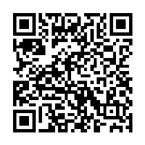 消息传出去我这坐镇荒古入口的人该如何向天庭解释二维码生成