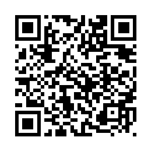 消灭了入侵者的鱼群又悠闲的散开二维码生成