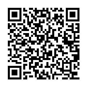 消磨了大量血河力量才好不容易救下自己的分身二维码生成