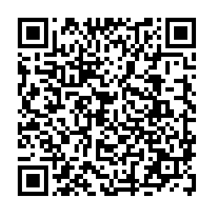 消终于在离开炼丹城的第八天返了回来№紫烟此时吃惊地瞪着眼前的小白二维码生成