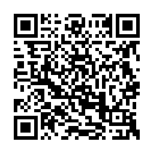 液态金属铠甲中凝聚起了上百支薄如蝉翼的飞刃二维码生成