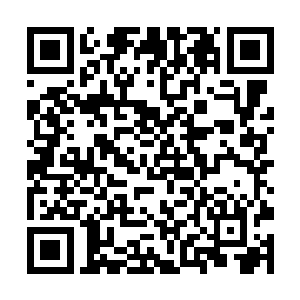 涵盖了对这幅竹丝画的鉴赏品评编制工序等记事内容二维码生成