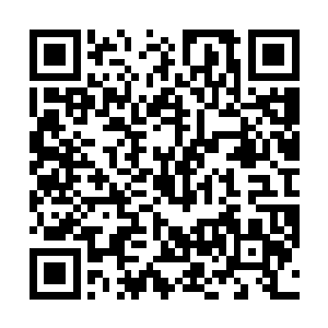 淑妃娘娘和这个废物太子有着什么见不得人的关系不成二维码生成