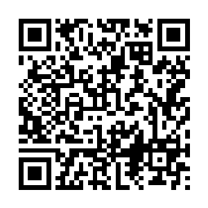 淘宝拳和西浅难免不会去想自己会不会也有这一天二维码生成