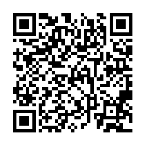 淡定的令左右衙役去查看老妇人和何王氏的呕吐物二维码生成