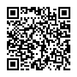 淡淡地瞥了一眼随后赶来的马格纳城主和弥天两位妖族强者二维码生成