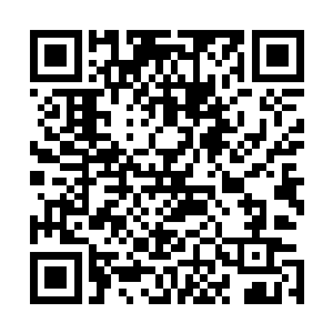 淡淡是外表的那些伤正常人最少也需要一周到两周才能恢复二维码生成