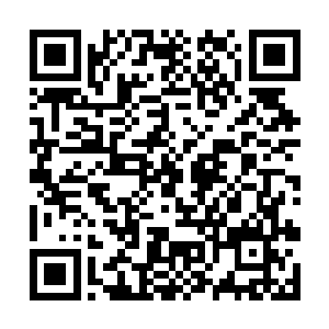 淡然笑着向猎海神舟之上一众面色各异的人拱了拱手二维码生成