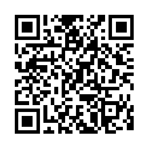 淡红的家族底色上镶嵌着暗金纹饰二维码生成