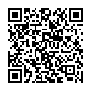 淡蓝色的贝壳和红色的珊瑚装饰在房间当中作为点缀二维码生成