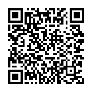 淡金色的雾气在围绕着脑中某个神秘的点盘旋着二维码生成